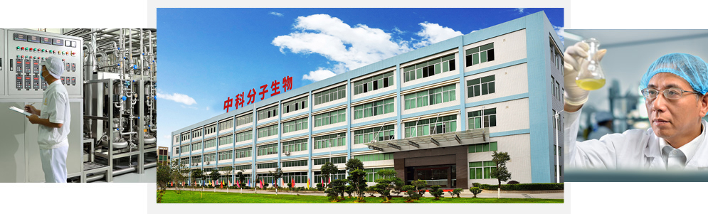 aboutimg.jpg aboutimg.jpg